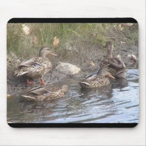 JustDucky mousepads