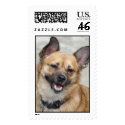 justgoofy postage