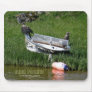 Juvenile Bald Eagles on a Skiff Mouse Pad