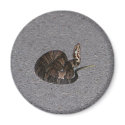 Juvenile Cottonmouth Snake magnets by eaglelady1 Juvenile Cottonmouth Snake magnets