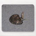 Juvenile Cottonmouth Snake mousepads by eaglelady1 Juvenile Cottonmouth Snake mousepads