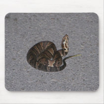 Juvenile Cottonmouth Snake mousepads by eaglelady1 Juvenile Cottonmouth Snake mousepads