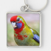 Juvenile Crimson Rosella Keychain