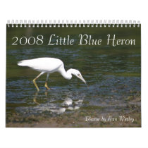 Juvenile Little Blue Heron Wall Calendar