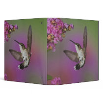 Juvenile male Ruby Throated Hummingbird in Vinyl Binder