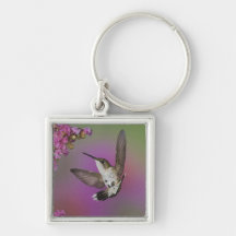 Juvenile male Ruby Throated Hummingbird in Key Chains