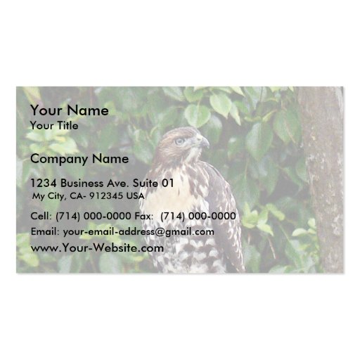 Juvenile red-tailed hawk business cards (front side)