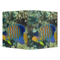 Juvenile Regal Angelfish Pygoplites Vinyl Binder