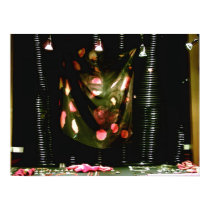Juwelier-Schaufenster 01 Deco posters by MRGraphics Juwelier-Schaufenster 01 Deco posters
