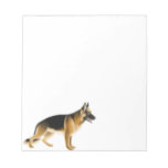german shepherd, german shepherds, belgian