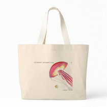 k hertko, chrysaora quinquecirrha bags