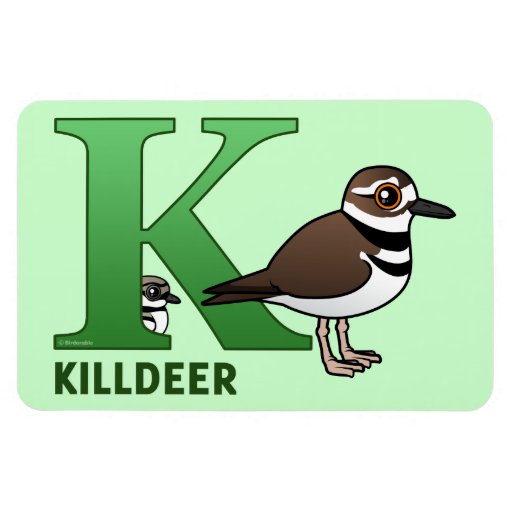 K is for Killdeer Flexible Magnet