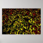 K&K Fashion Sunflowers Posters