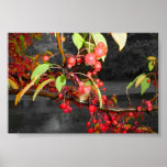 K&K - Reb Berries Print