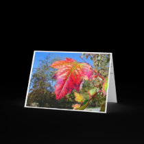 K&K - Sympathy Card cards