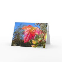 K&K - Sympathy Card