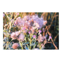 K&K - Thistle Bunch posters