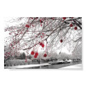 K&K Winter Berry posters by ervkosch K&K Winter Berry posters
