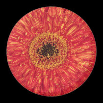 KA-Bloom! magnets