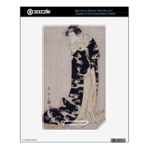 Kabuki Actor Skins For NOOK Color