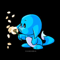 Kacheek Blue