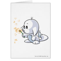 Kacheek White cards