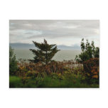Kachemak Bay Post Cards