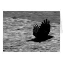 Kachemak Bay Raven Greeting Card