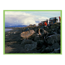 Kachemak Bay Shorebird Festival 1993 Post Cards