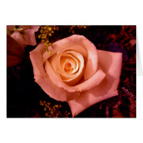 Kacie's Rose cards by C00L_AC Kacie's Rose cards