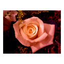 Kacie's Rose posters
