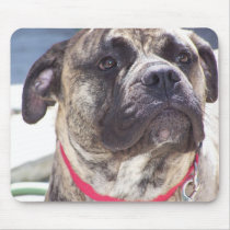 Kadence mousepads