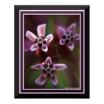 Kadie's Oil Painting posters