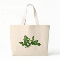 Kaffir Lime Leaves bags