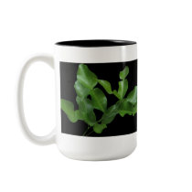 Kaffir Lime Leaves mugs by charlesblack7 Kaffir Lime Leaves mugs