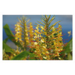 Kahili ginger stationery