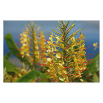 Kahili ginger stationery