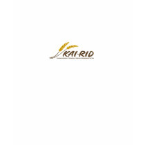 KAI-RID Logo Women's Tee t-shirts