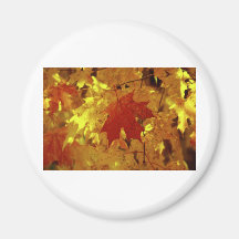 Kairos Fall Magic Magnets
