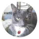 KAITO STICKER stickers
