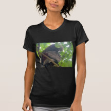 Kaka Tees
