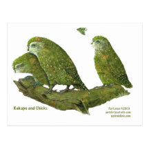 kakapo and chicks post card