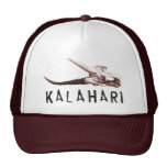 Kalahari desert in Africa: Dead antelope skull hats