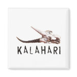 Kalahari desert in Africa: Dead antelope skull magnets