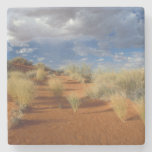 Kalahari Desert Scene, Kgalagadi Transfrontier 2 Stone Coaster