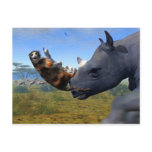Kalahari Express Post Cards