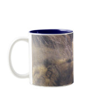 Kalahari Lions mugs