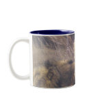 Kalahari Lions mugs