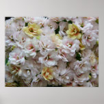 Kalanchoe #2 poster