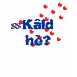 Kâld hè? Friesland T-Shirt